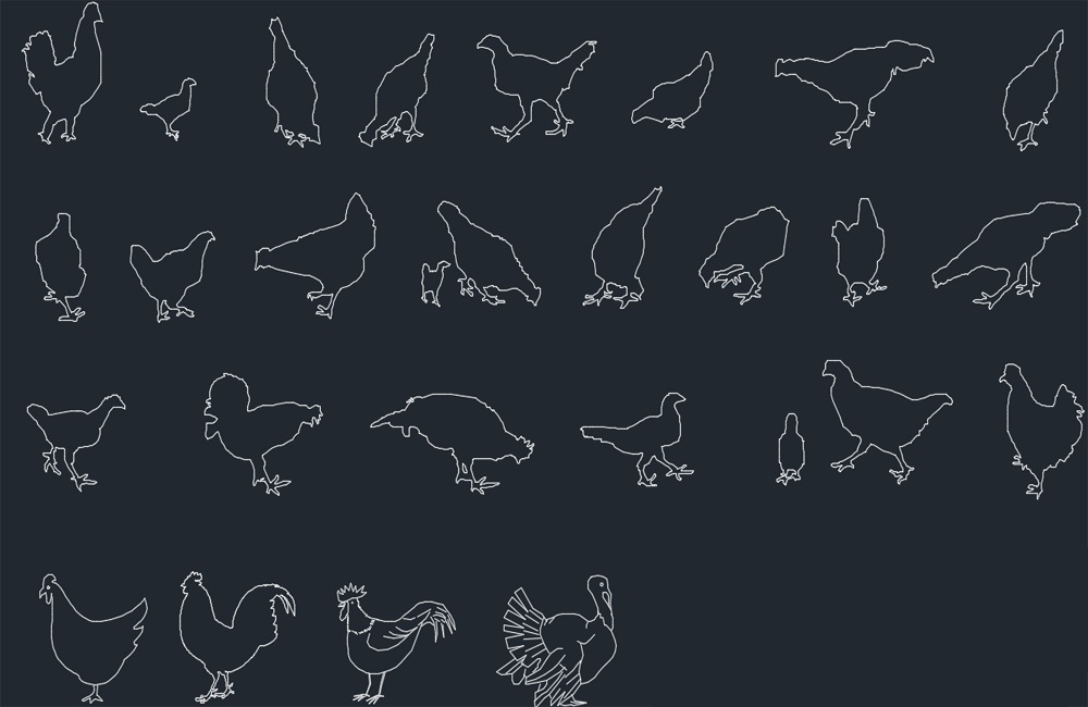 دانلود ست بلوک‌های پرندگان اتوکد (Birds CAD Blocks Set DWG Download)