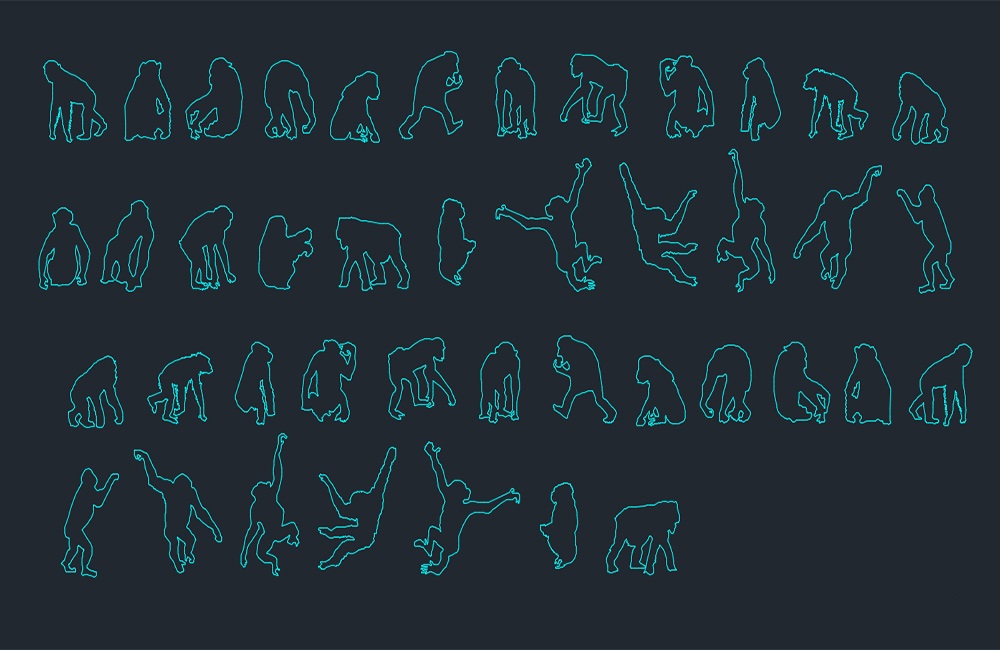 دانلود بلوک‌های شامپانزه اتوکد (Chimpanzees CAD Blocks DWG Download)