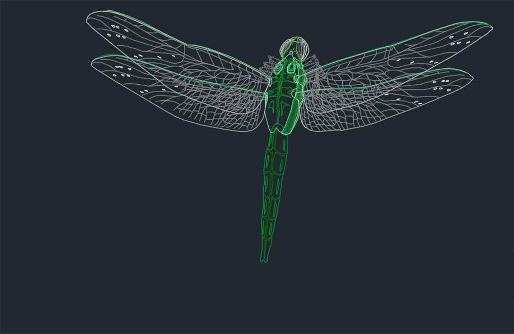 دانلود مدل اتوکد سنجاقک (Dragonfly CAD Model DWG)