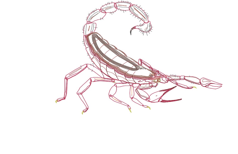 دانلود نقشه عقرب اتوکد (Scorpion DWG Drawing)