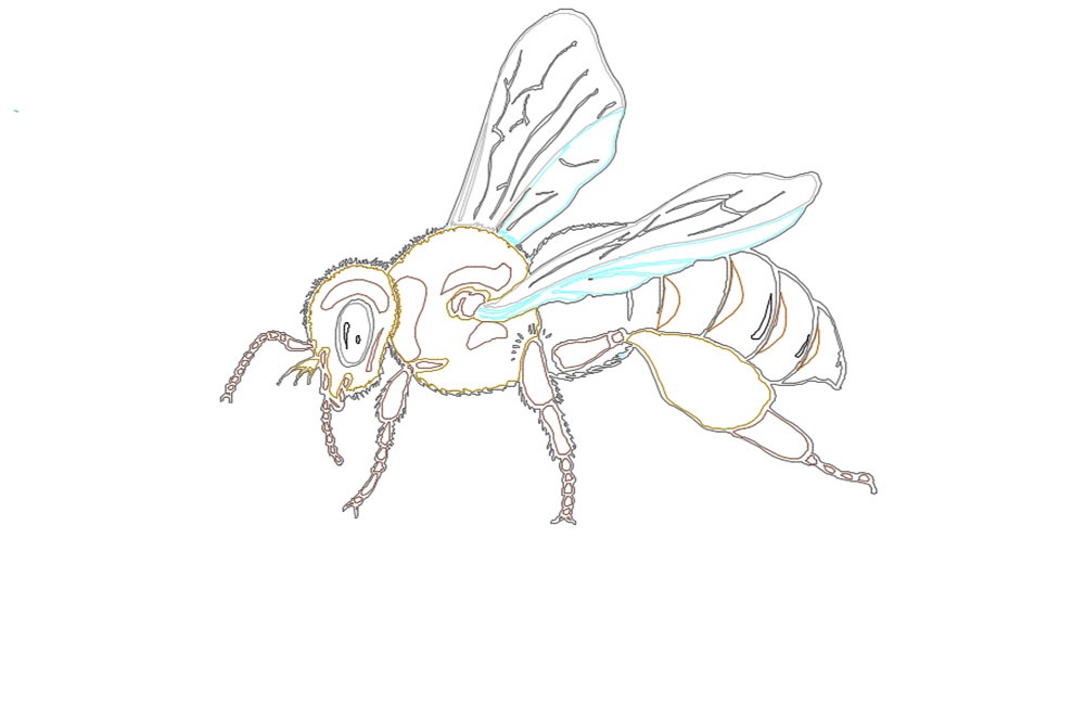 دانلود نقشه زنبورها اتوکد (Bees DWG Drawing)
