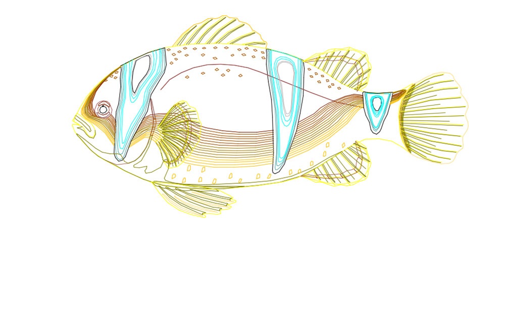 دانلود نقشه ماهی اتوکد (Fish AutoCAD Drawing DWG)
