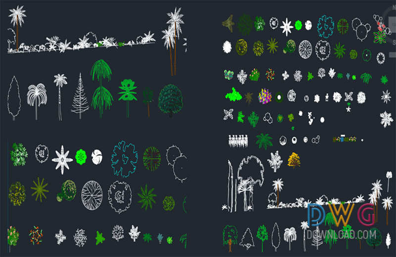 دانلود فایل نقشه اتوکد بلوک‌های پوشش گیاهی | Vegetation Cad Blocks
