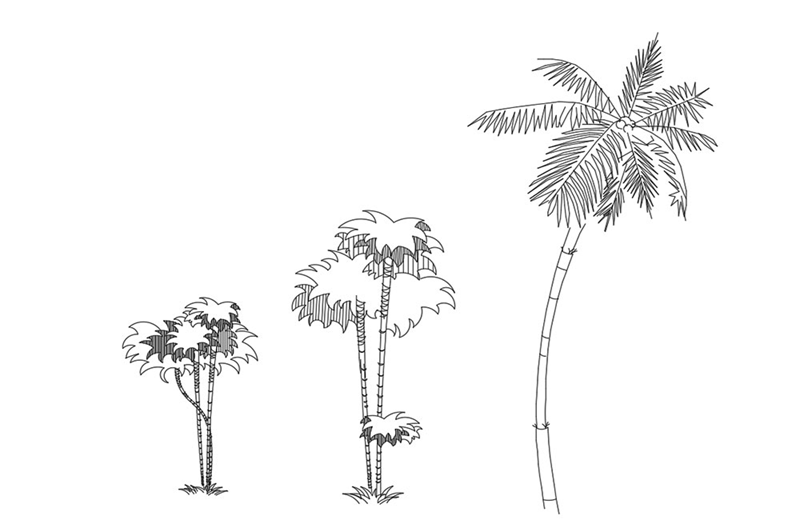 دانلود فایل طراحی اتوکد بلوک‌های گروه درختان | Group Of Trees CAD Blocks