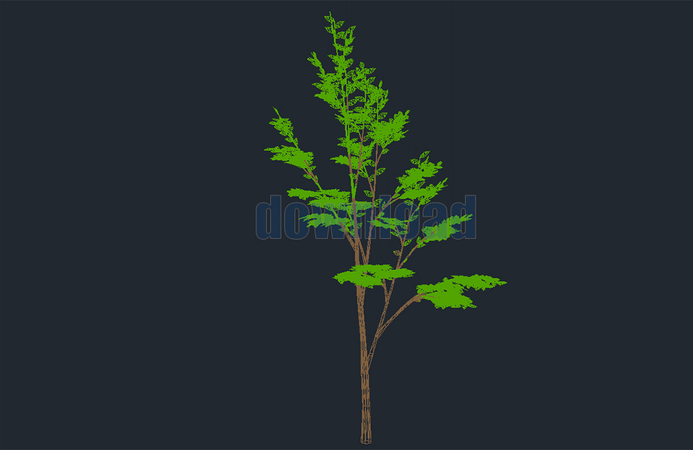 دانلود فایل طراحی اتوکد درخت سه‌بعدی | Tree 3D DWG Download
