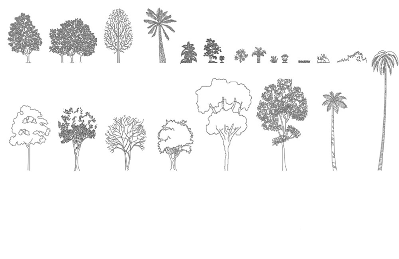 دانلود فایل طراحی اتوکد مجموعه بلوک‌های درخت | Tree CAD Blocks