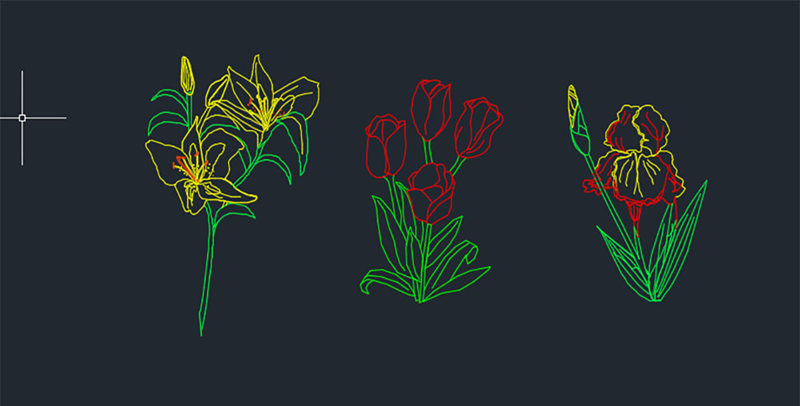 دانلود فایل پروژه اتوکد بلوک‌های گل‌های خاص | Special Flowers Cad Blocks