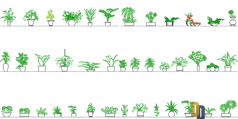 دانلود فایل طراحی اتوکد مجموعه بلوک‌های گیاهان | Plants CAD Blocks DWG Download