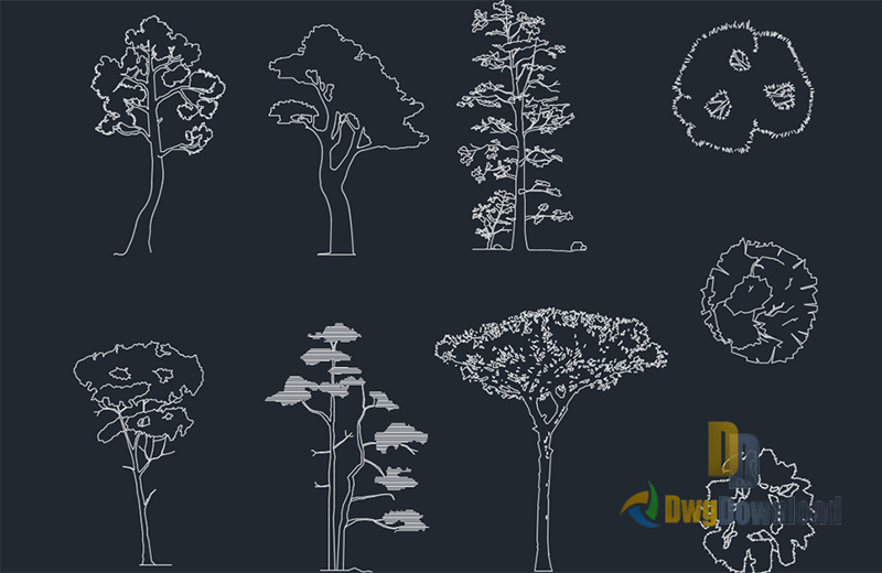 دانلود فایل طراحی اتوکد مجموعه بلوک‌های درخت کاج | Pines CAD Blocks DWG Download