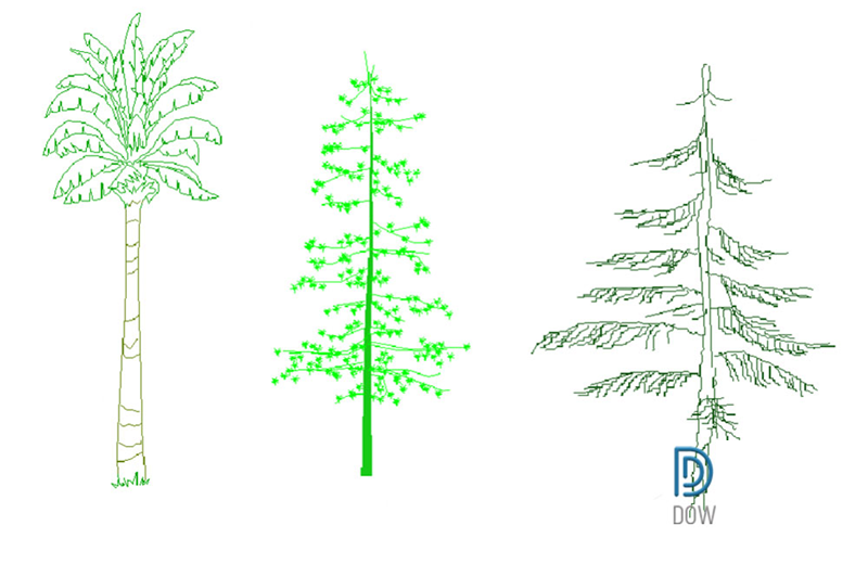 دانلود فایل نقشه اتوکد گروه درختان بلند | Group Of Tall Tree CAD Drawing